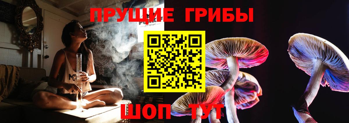 Псилоцибиновые грибы Magic Shrooms  Вход с VPN  Благовещенск  Галлюциногенные грибы ЛСД 